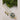 FS Collection Gold Plated Pearl Necklace Set