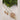 FS Collection Gold Plated Pearl Necklace Set