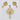 Raiya Raj Forming Gold Plated Austrian Stone Pendant Set