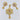 Raiya Raj Forming Gold Plated Austrian Stone Pendant Set